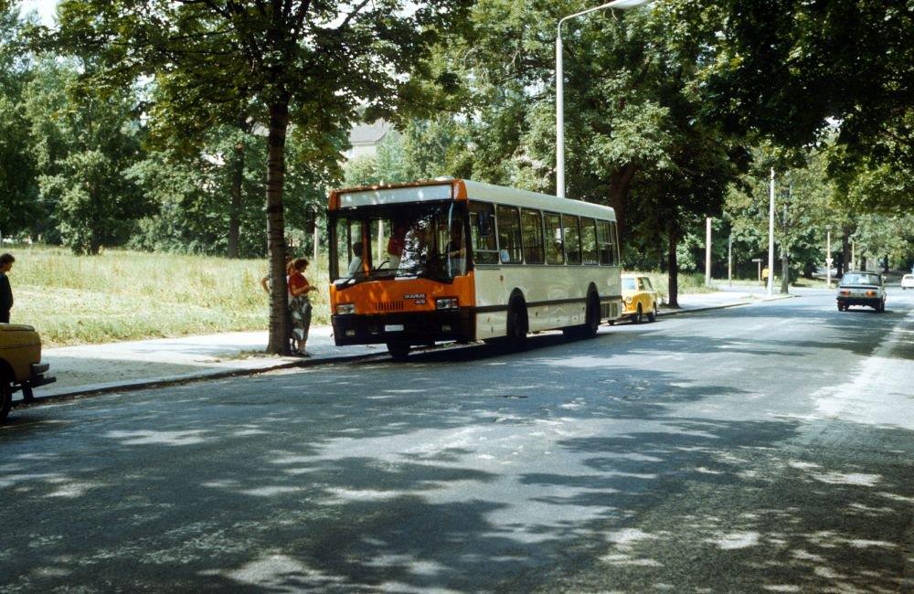 ikarus 1989 dd-8045_1000