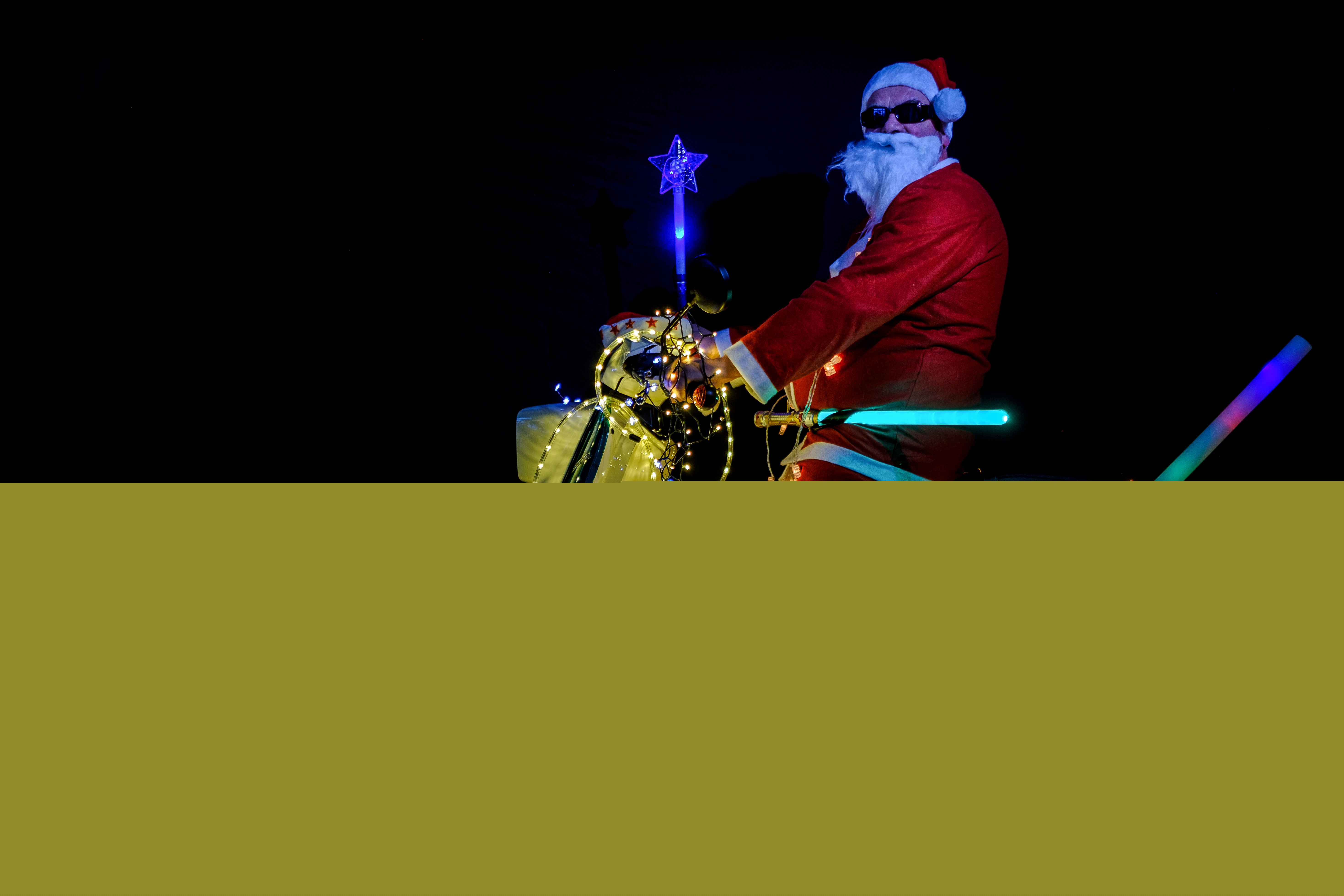 weihnachtsschwalbe