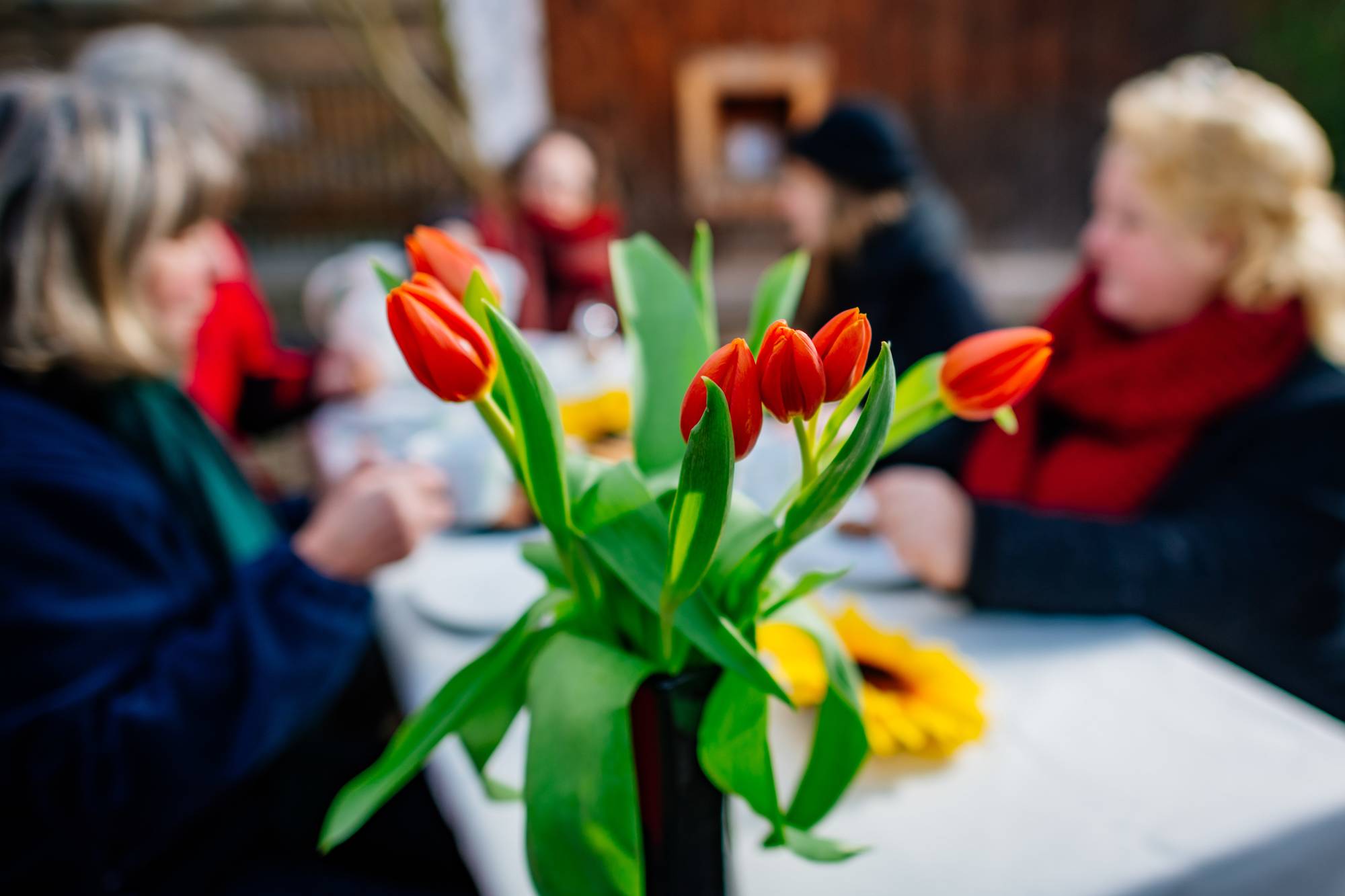 BürgerStiftung Erfurt: Alle an einen Tisch