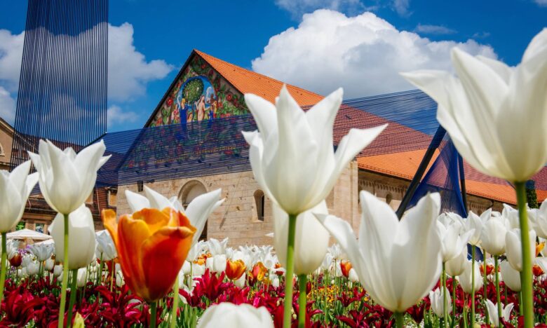 Gartenparadiese auf dem Erfurter Petersberg