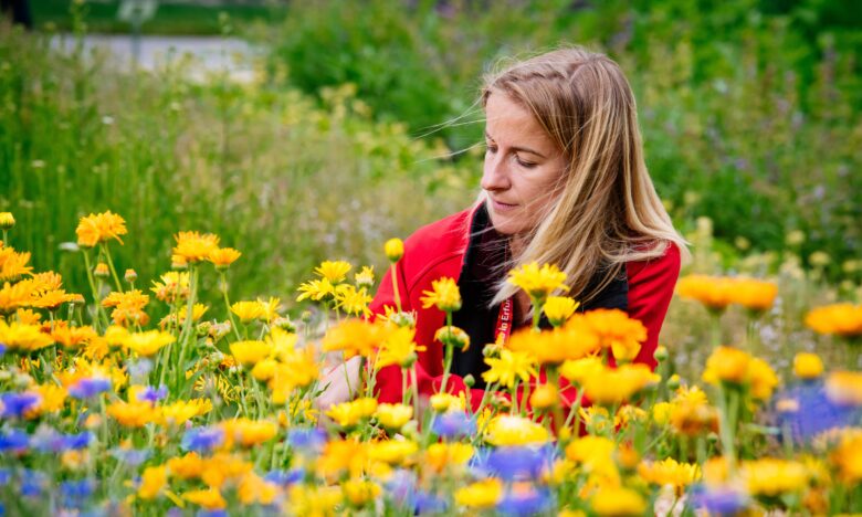 Petersberg Erfurt: Die Kraft der Kräuter