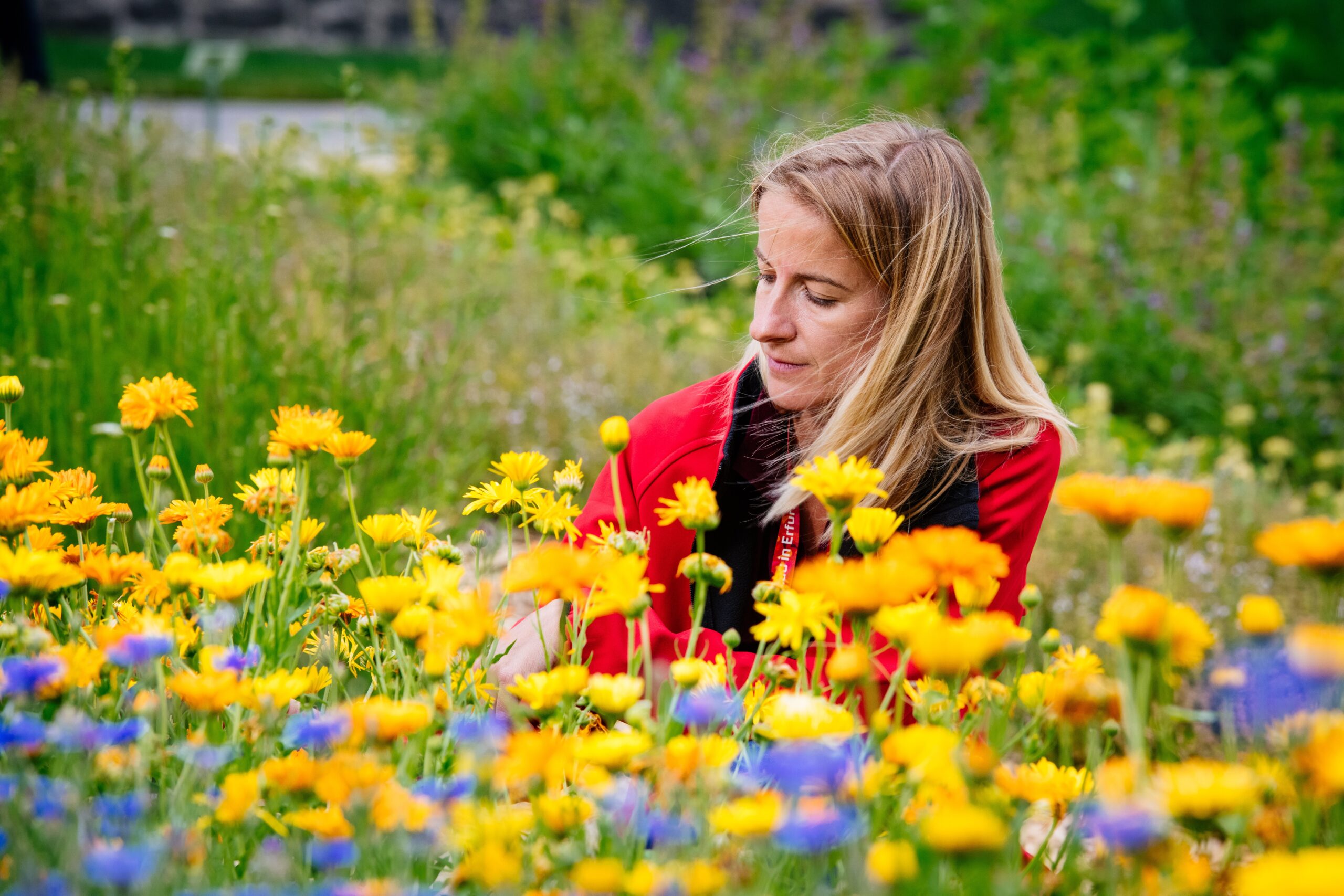 Petersberg Erfurt: Die Kraft der Kräuter