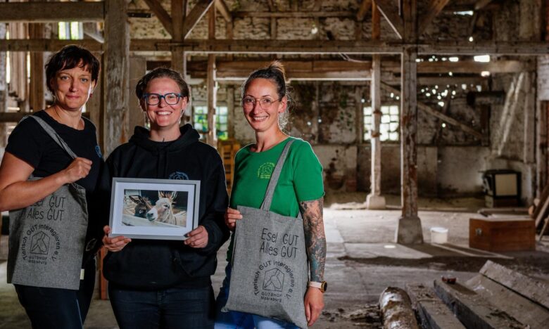 Vorfreude auf die Esel