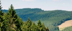 Sommer- Ausflugstipp: Gipfelstürmen leicht gemacht im Schwarzatal