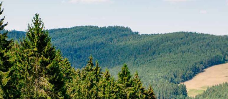 Sommer- Ausflugstipp: Gipfelstürmen leicht gemacht im Schwarzatal